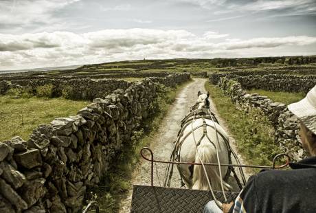 A horse pulling a cart on the Aran Islands